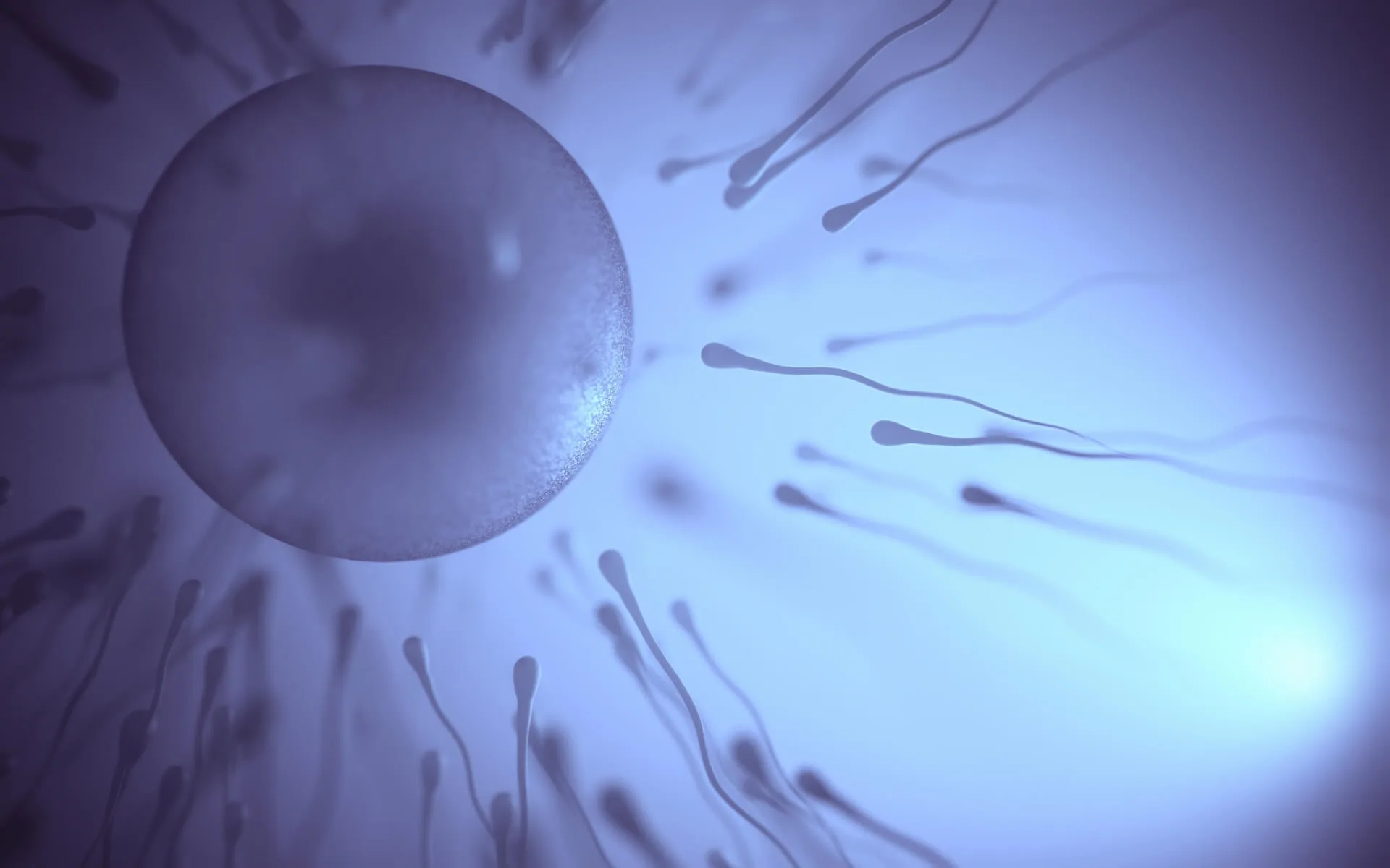 Woman tracking ovulation symptoms and cycle â€