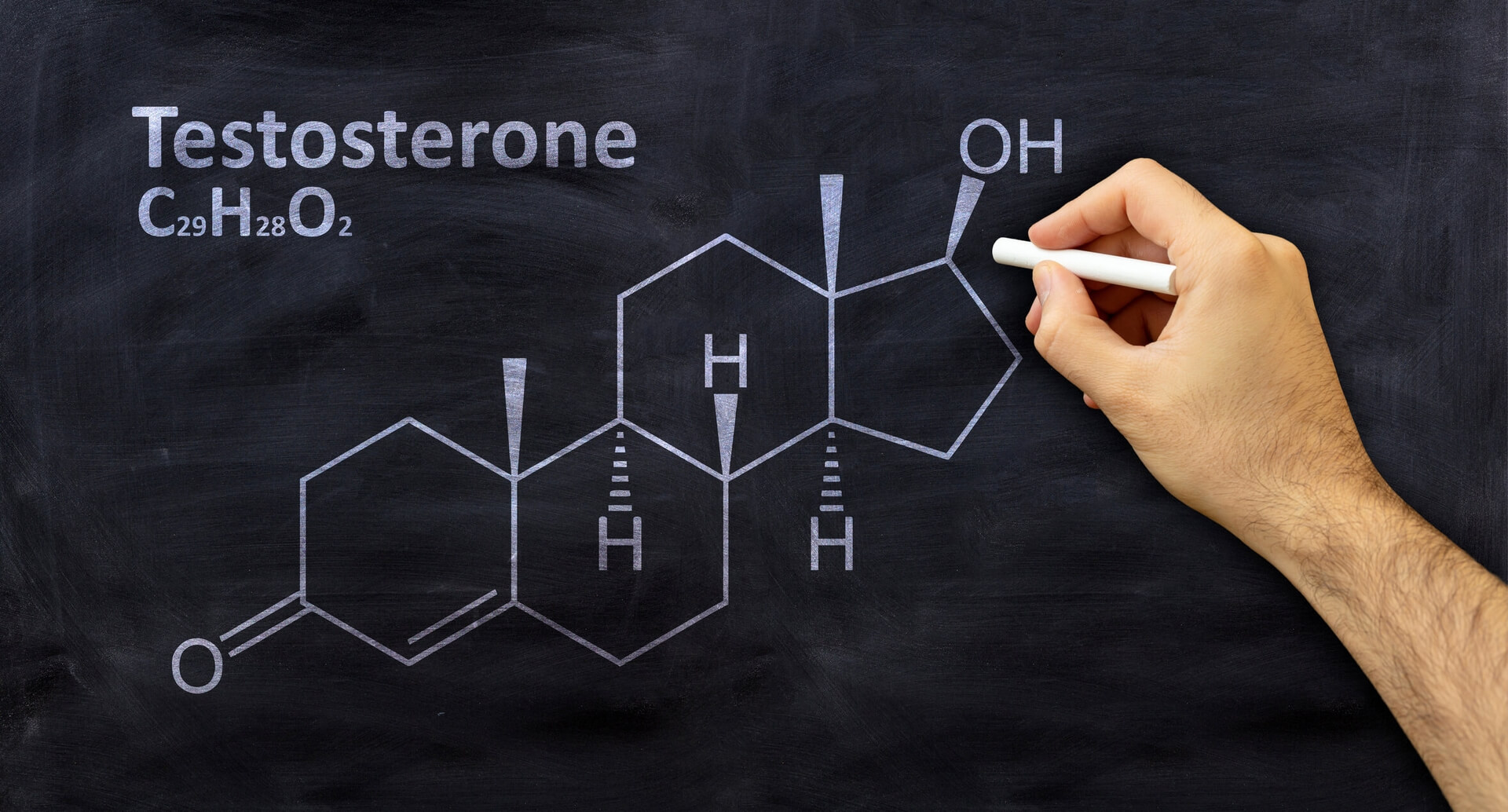 testosterone-lower-in-women