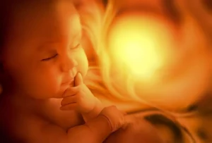 embryo-inside-mother-ultrasound-